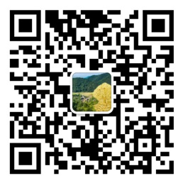 期期中官网app下载